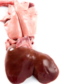 Fressure d'agneau